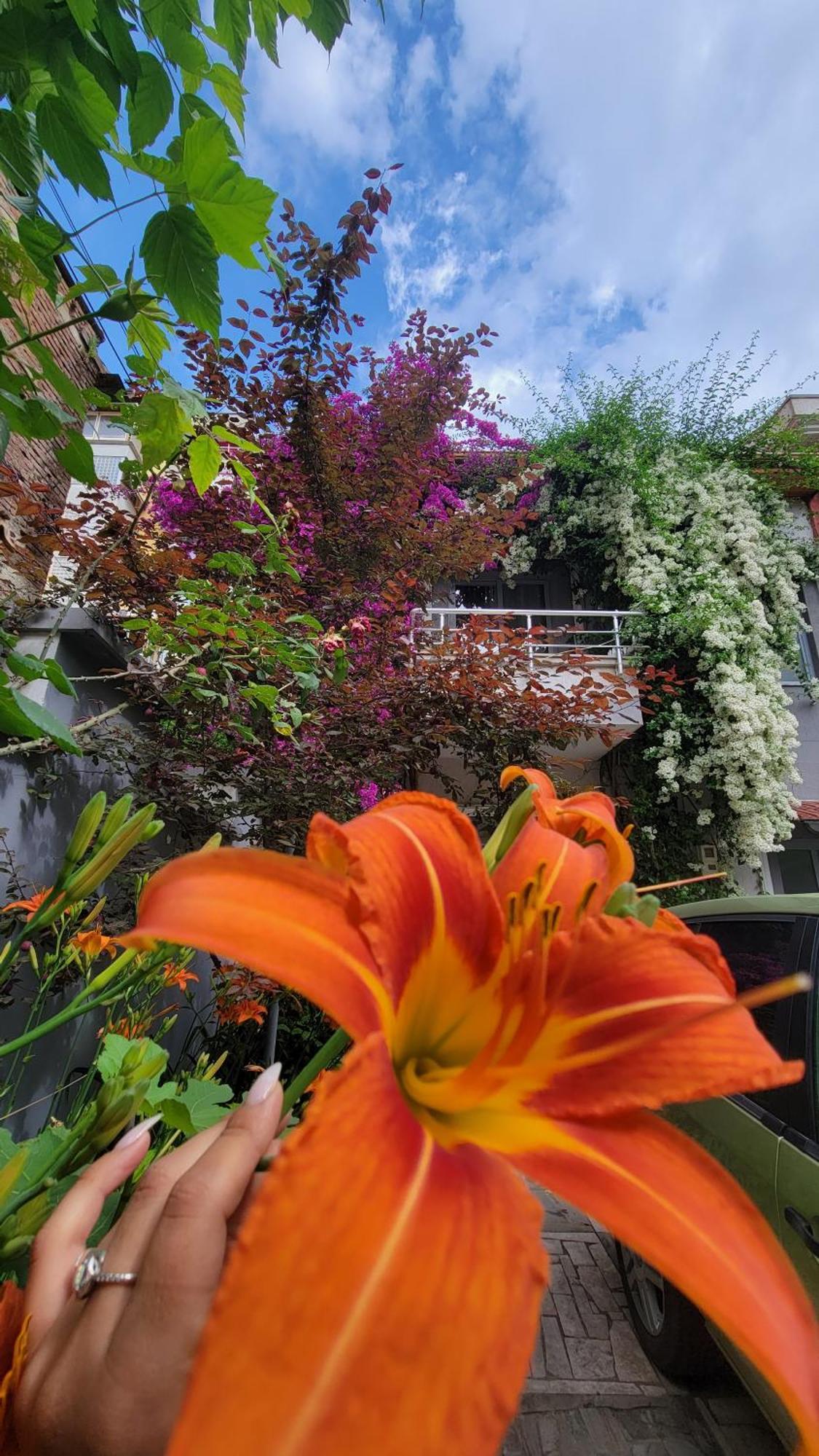 A Cheerful Villa With Free Parking Space Tirana Quarto foto